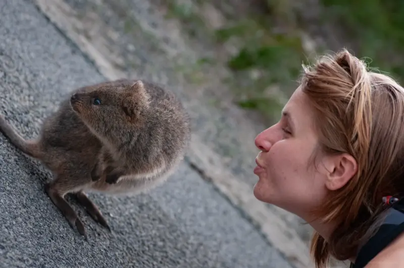A woman waiting for a kiss from an uninterested Quokka – Rottnest Island, Western Australia