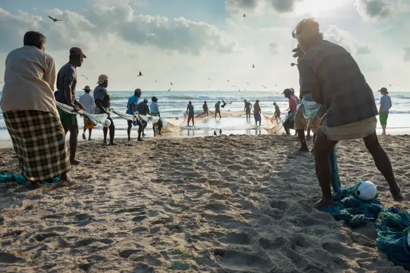 Seine fishing - fishermen and villages pulling a net - Trincomalee, Sri Lanka